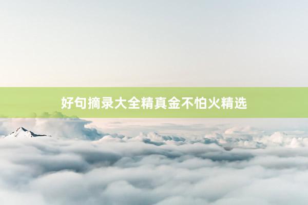 好句摘录大全精真金不怕火精选
